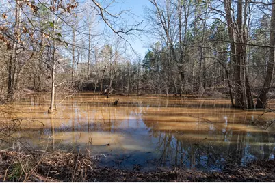 Tbd State Highway 64, Ben Wheeler, TX 75754 - Photo 23