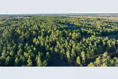 Tbd State Highway 64, Ben Wheeler, TX 75754 - Photo 33