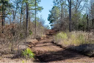 Tbd State Highway 64, Ben Wheeler, TX 75754 - Photo 7