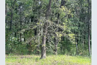 17A Castle Pines Circle, Gordonville, TX 76245 - Photo 7