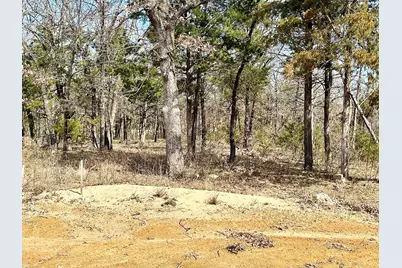 17A Castle Pines Circle, Gordonville, TX 76245 - Photo 3