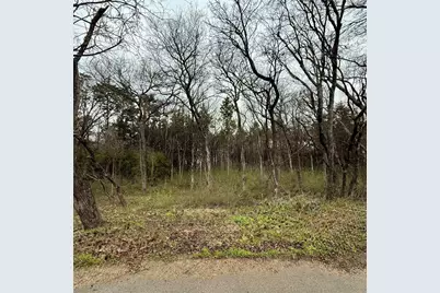 3203 Persimmon Road, Dallas, TX 75241 - Photo 3