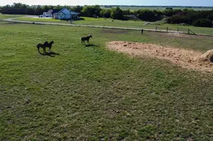 4321 Co Rd 220, Gatesville, TX 76528 - Photo 5