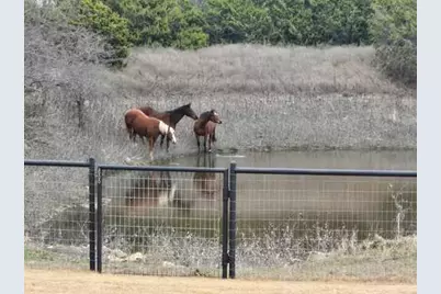 4321 County Road 220, Gatesville, TX 76528 - Photo 39