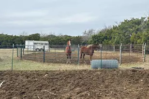 4321 Co Rd 220, Gatesville, TX 76528 - Photo 7