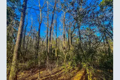 0 E Private Road 8344, Palestine, TX 75803 - Photo 11