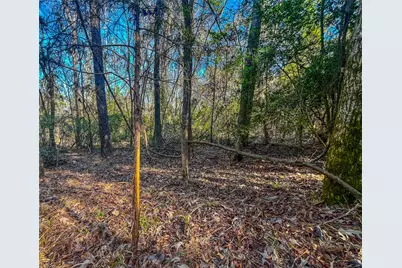 0 E Private Road 8344, Palestine, TX 75803 - Photo 9