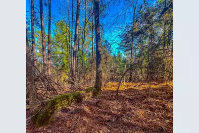 0 E Private Road 8344, Palestine, TX 75803 - Photo 33