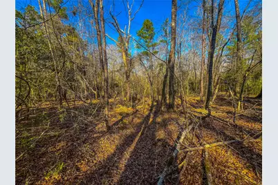 0 E Private Road 8344, Palestine, TX 75803 - Photo 17