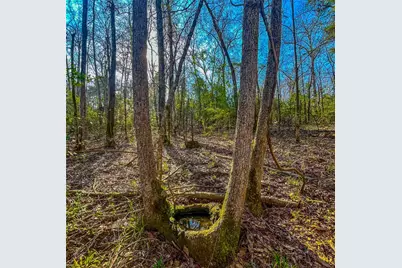 0 E Private Road 8344, Palestine, TX 75803 - Photo 19