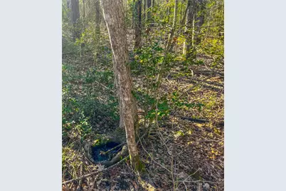 0 E Private Road 8344, Palestine, TX 75803 - Photo 23