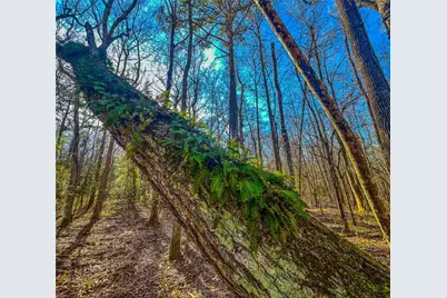 0 E Private Road 8344, Palestine, TX 75803 - Photo 3