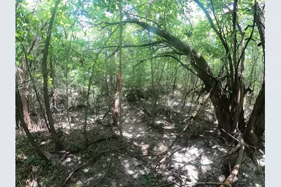 00 Cr-561, Princeton, TX 75407 - Photo 11