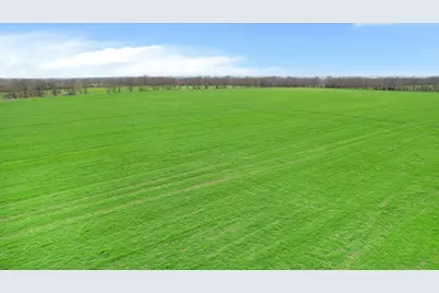 00000 Fm 3133, Van Alstyne, TX 75495 - Photo 11