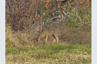 1478 Creek Crossing Trail, Wills Point, TX 75169 - Photo 25