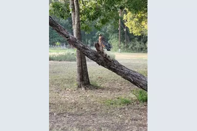 1478 Creek Crossing Trail, Wills Point, TX 75169 - Photo 31