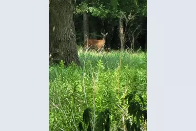 1478 Creek Crossing Trail, Wills Point, TX 75169 - Photo 29