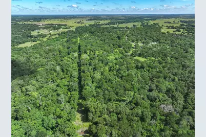 1478 Creek Crossing Trail, Wills Point, TX 75169 - Photo 17