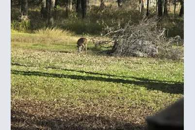 1478 Creek Crossing Trail, Wills Point, TX 75169 - Photo 27