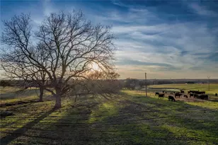14867 Farm To Market 274, Ravenna, TX 75476 - Photo 1