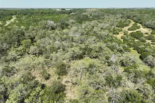 1695 Fm 2823, Carlton, TX 76436 - Photo 39