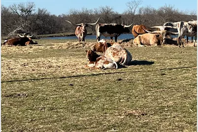 15674 Fm 981, Blue Ridge, TX 75424 - Photo 29