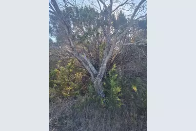 23038 Prairie Drive, Whitney, TX 76692 - Photo 5