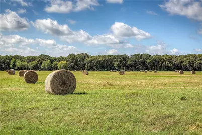 3812 County Road 120, Wills Point, TX 75169 - Photo 15