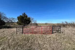 15868 FM981, Blue Ridge, TX 75424 - Photo 1