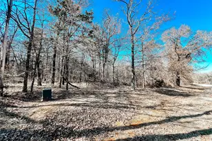 Lot 10 Castle Pines Circle, Gordonville, TX 76245 - Photo 1