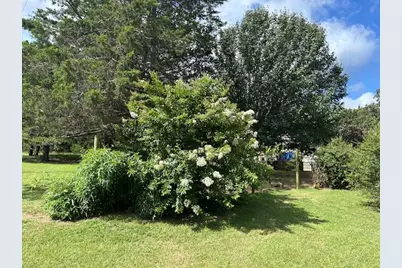 900 Locust Road, Pottsboro, TX 75076 - Photo 7