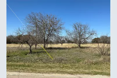 27215 Meadowmore Drive, Whitney, TX 76692 - Photo 3