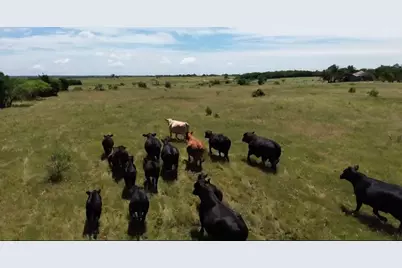 7.5 Acres Keyes Road, Sherman, TX 75092 - Photo 3