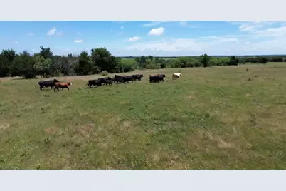 7.5 Acres Keyes Road, Sherman, TX 75092 - Photo 1