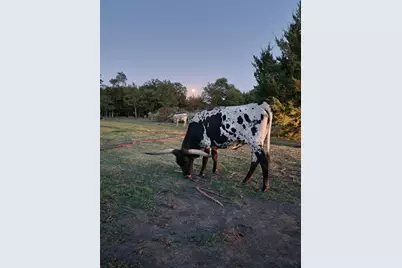 645 County Road 4160, Bonham, TX 75418 - Photo 35