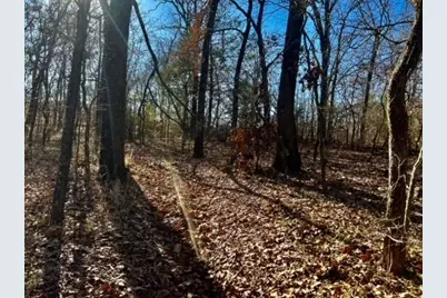 10 Ac Fm 1753 Highway, Bells, TX 75021 - Photo 19