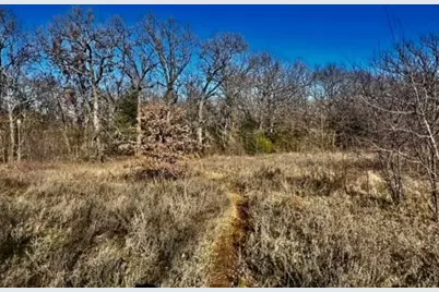 10 Ac Fm 1753 Highway, Bells, TX 75021 - Photo 17