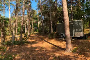 11524 Drakes Lndg, Frankston, TX 75763 - Photo 13