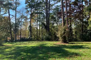 11524 Drakes Lndg, Frankston, TX 75763 - Photo 15