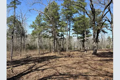 11524 Drakes Landing, Frankston, TX 75763 - Photo 21