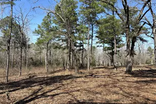 11524 Drakes Lndg, Frankston, TX 75763 - Photo 21