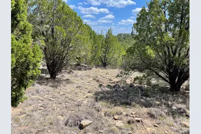 597 Tbd, Graford, TX 76449 - Photo 5