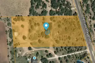 32471 N State Hwy 108, Mingus, TX 76463 - Photo 39