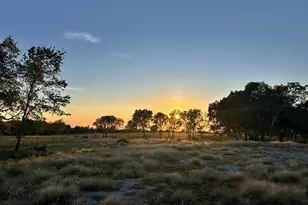 690 McConnell Rd, Gunter, TX 75058 - Photo 1