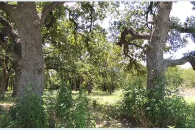 Tbd County Road 3303, Greenville, TX 75401 - Photo 13