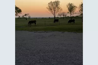 000 McConnell Road, Gunter, TX 75058 - Photo 3