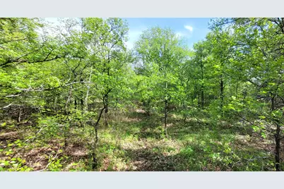 397 Clubhouse Drive, Joshua, TX 76058 - Photo 5