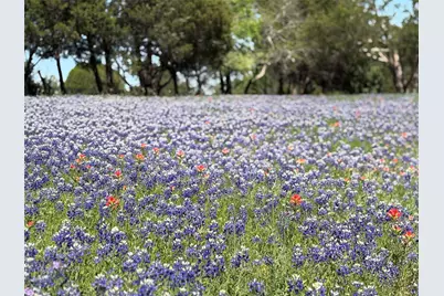 1815 W Forest Grove Road, Lucas, TX 75002 - Photo 5