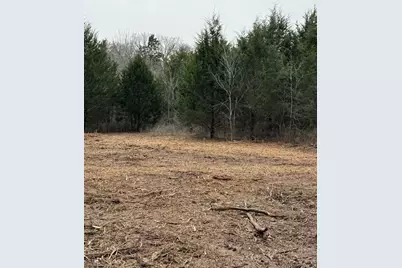 Lot 1 SE Cr 4045, Kerens, TX 75144 - Photo 9