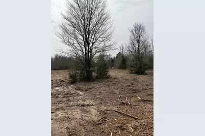 Lot 1 SE Cr 4045, Kerens, TX 75144 - Photo 3